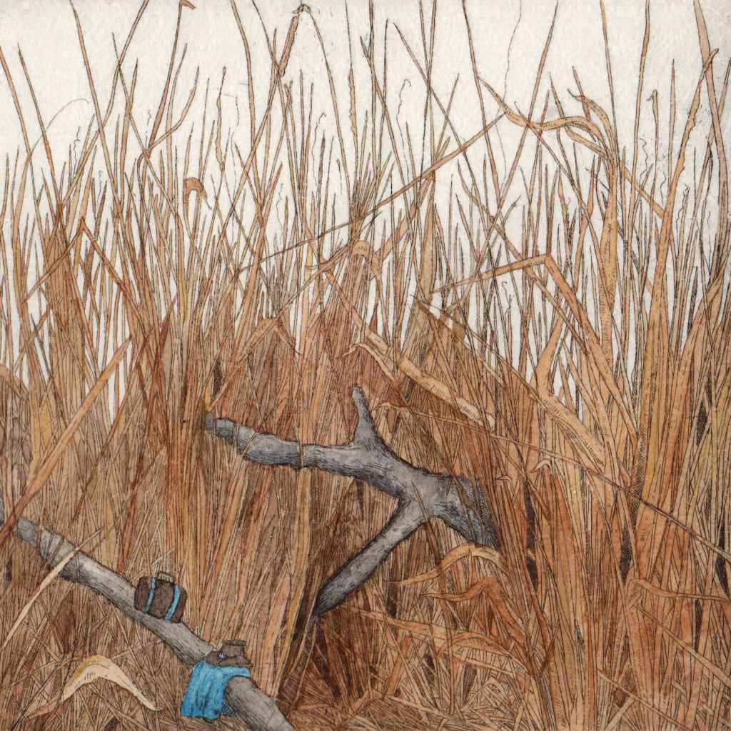 wetland home of the latham snipe. the bird has just arrived from its migration but elusive, only its  luggage, coat and hat shows that is has arrived