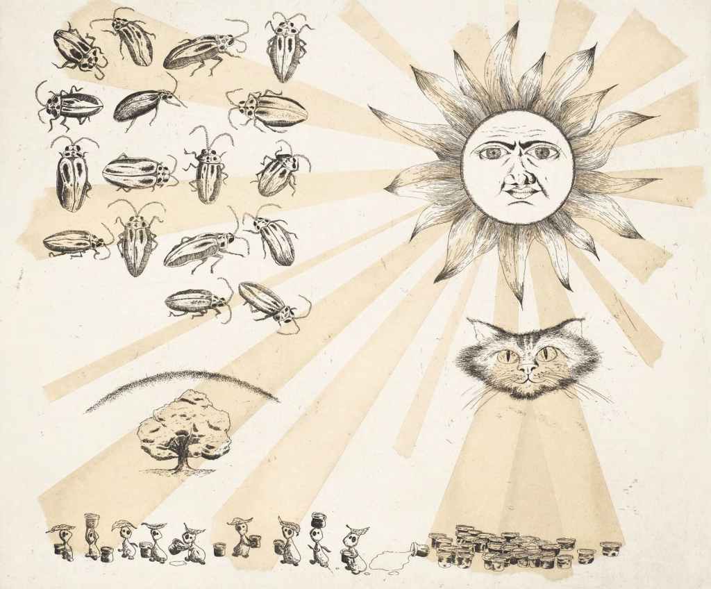 a diagram to show how elm trees gain sunlight but resist the elm Beatle 